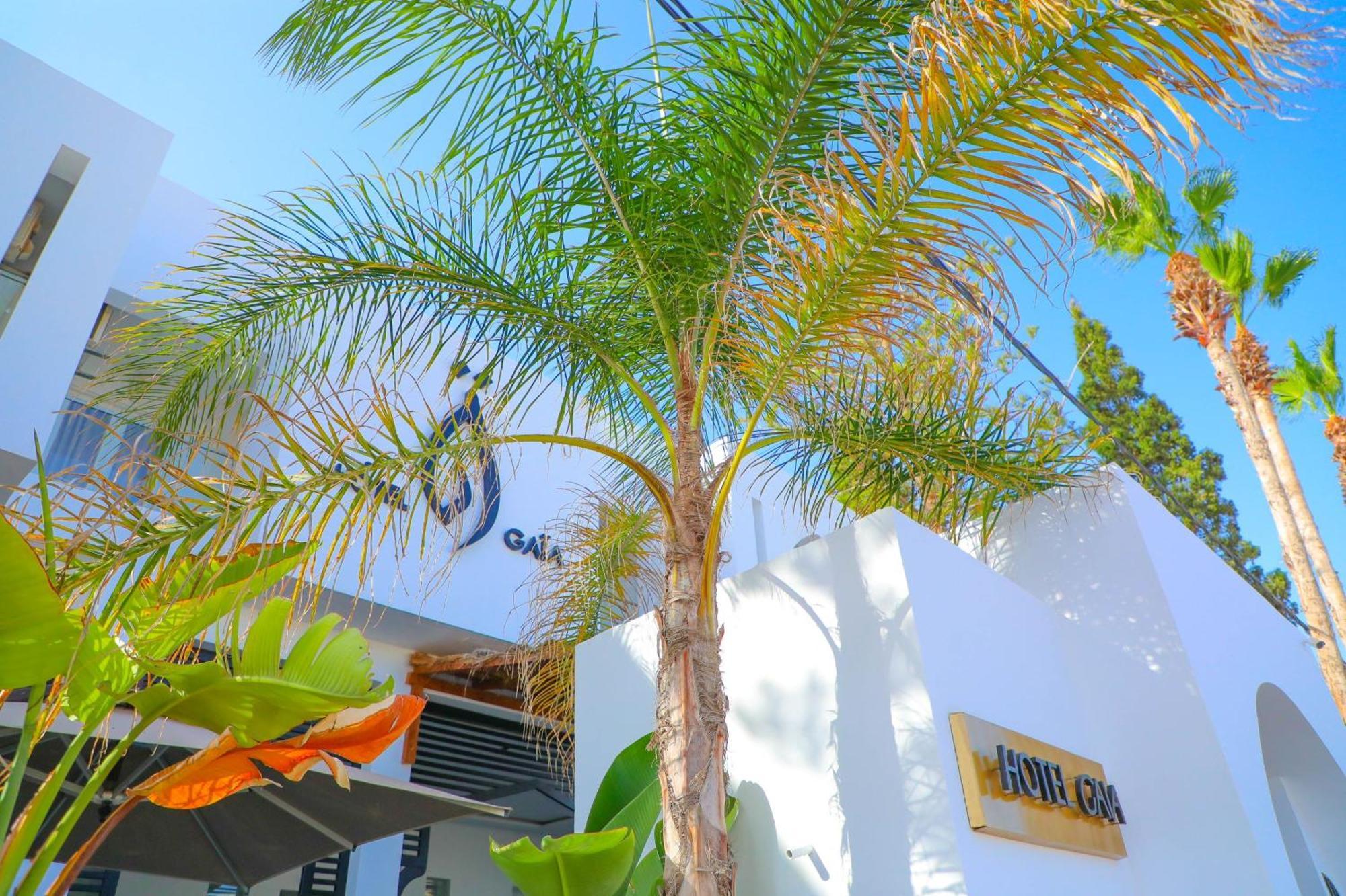 Hôtel Gaïa Nabeul Extérieur photo